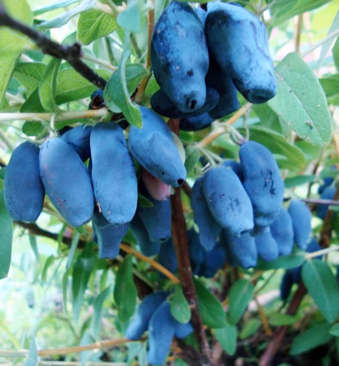 b5e70c17fae1e2f30bcc8c0a37e460f0