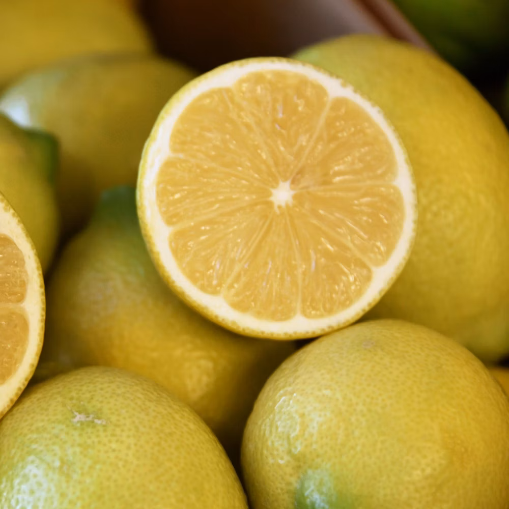 b61dfc5ad642bb07e46453f7ded29547