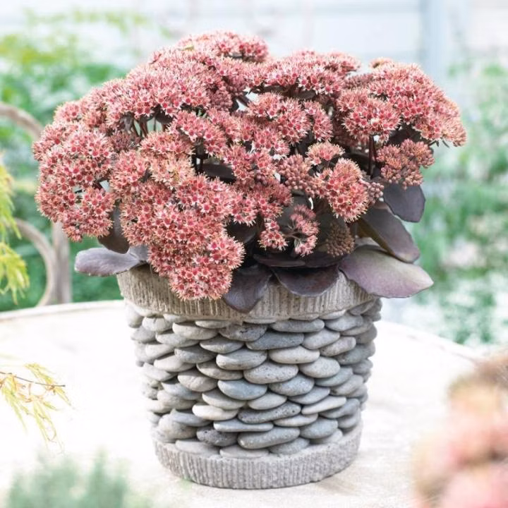 b6330f124a56ce57e8a0e39ba4a52eba