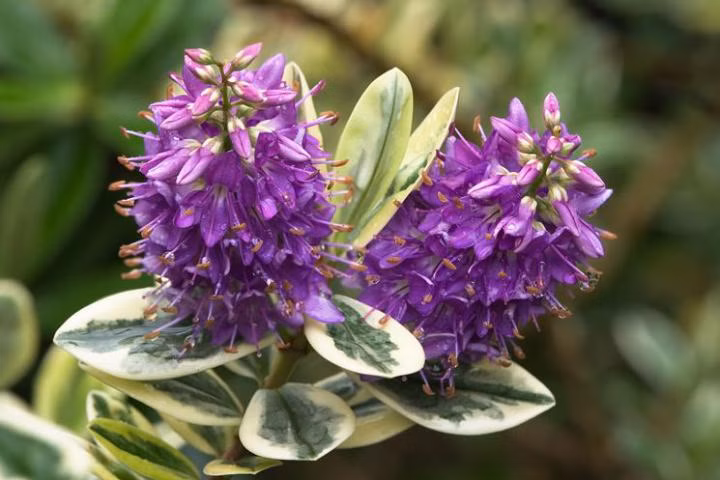 b63dab973c29fd9397efcf44ae2d98ce