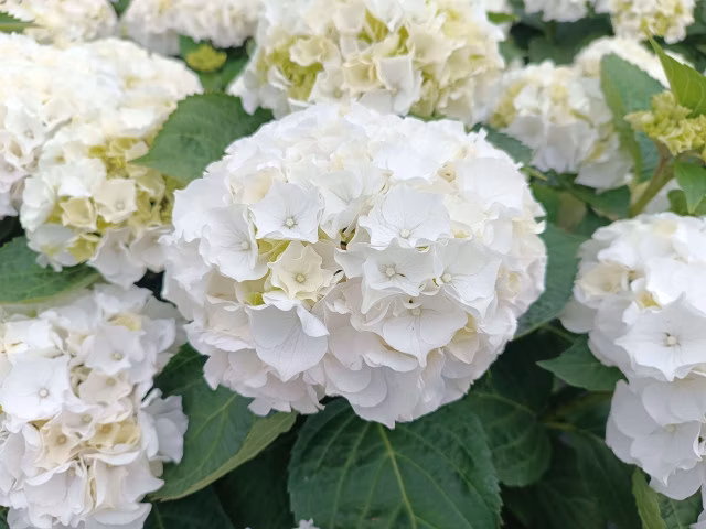 b645fa7f1ca6ce732b9ba58a95ca3d07