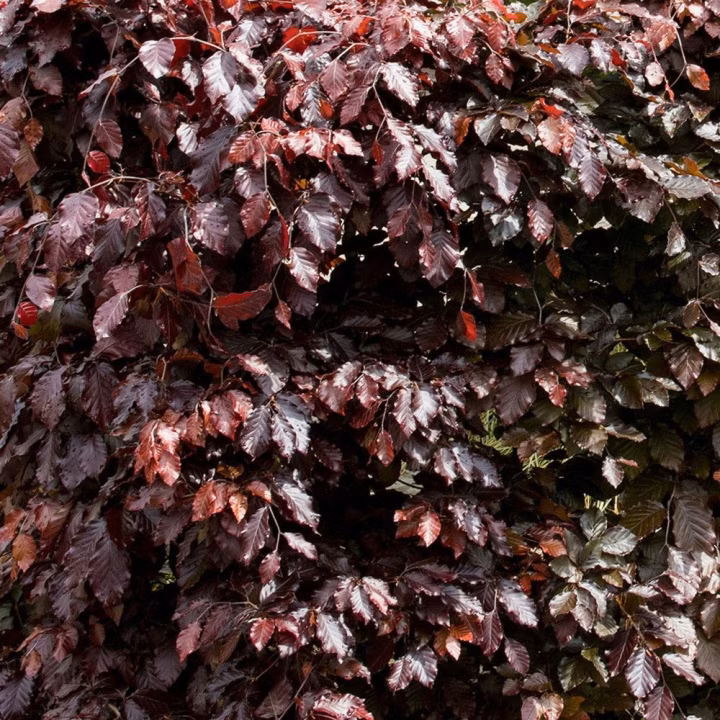 b668440d041109745f65983121c9b486