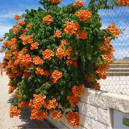 b67a5e142ab9be5de0a114fca257093e