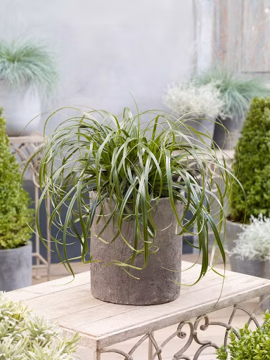 b698303d0b231b7a8e918957bc883be7