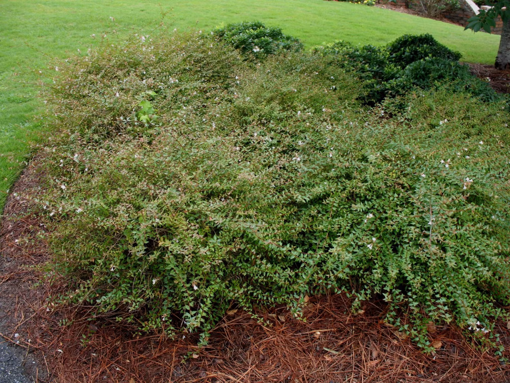 b6b7dbf4f4353e156abbb3e9c7087398