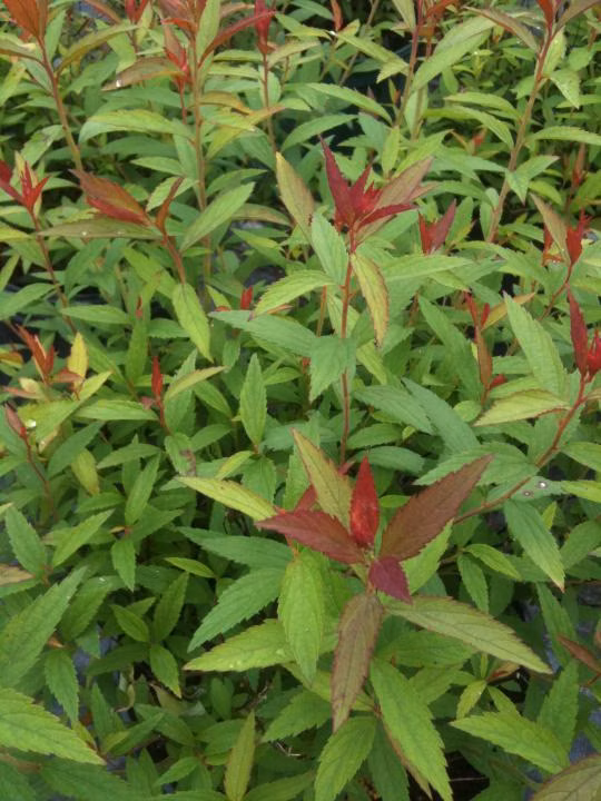 b6bb8394d8fadcbb06c25749a1017c9d