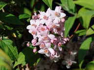 b6c43b015ab9cbf74fbfc2b55f908ff6