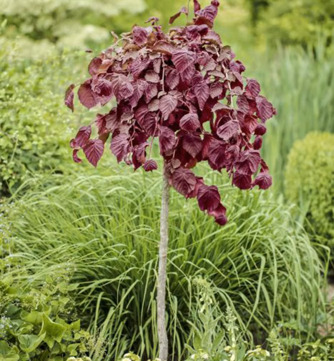 b6db6b8282ee763224d1728c89888630