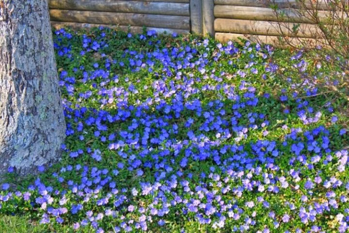 b74a614b001ae92b459b99e678191cfe