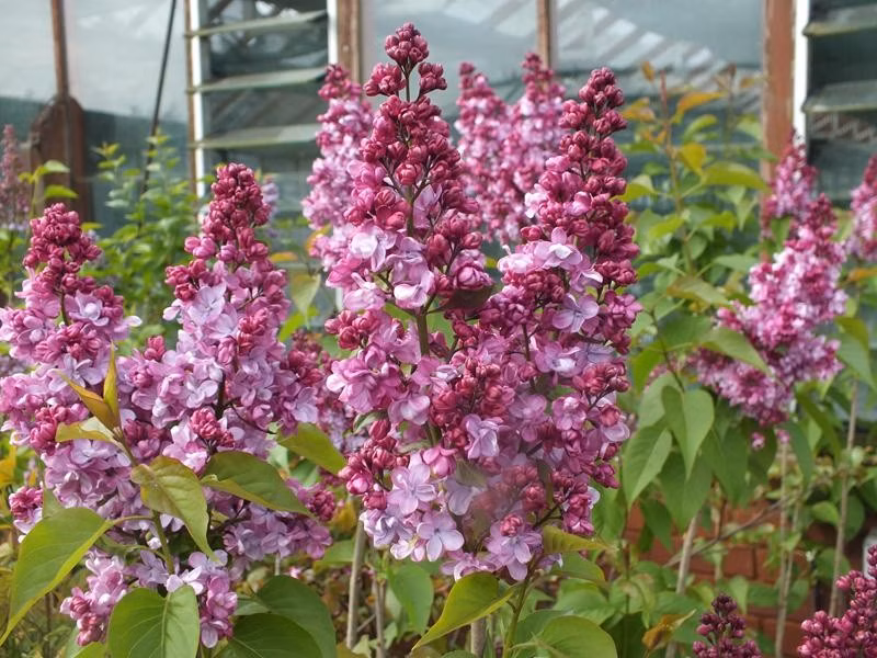 b75c4d6fbf4f0ee0143fb596802bedcc