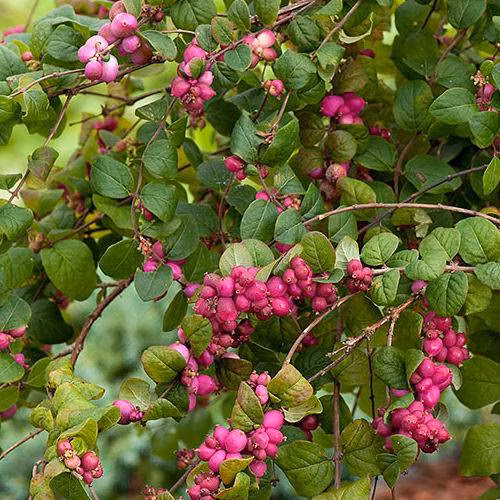 b777f1340c551f0eb21fbd134d31bfb6