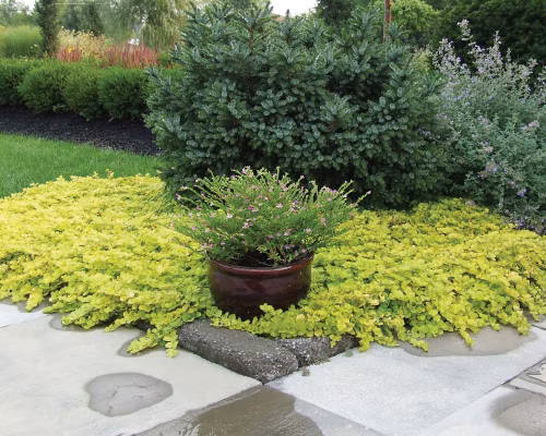 b79385d782b436d62681e4b8120f62d7