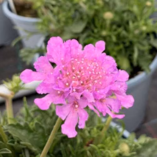 b79724bea4f1ee8a56b6a9568c08fb13