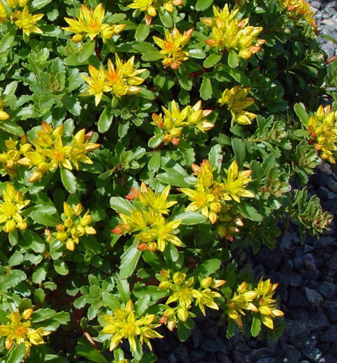 b7d3dbb0f45c8b49f63fbaefca1ce939