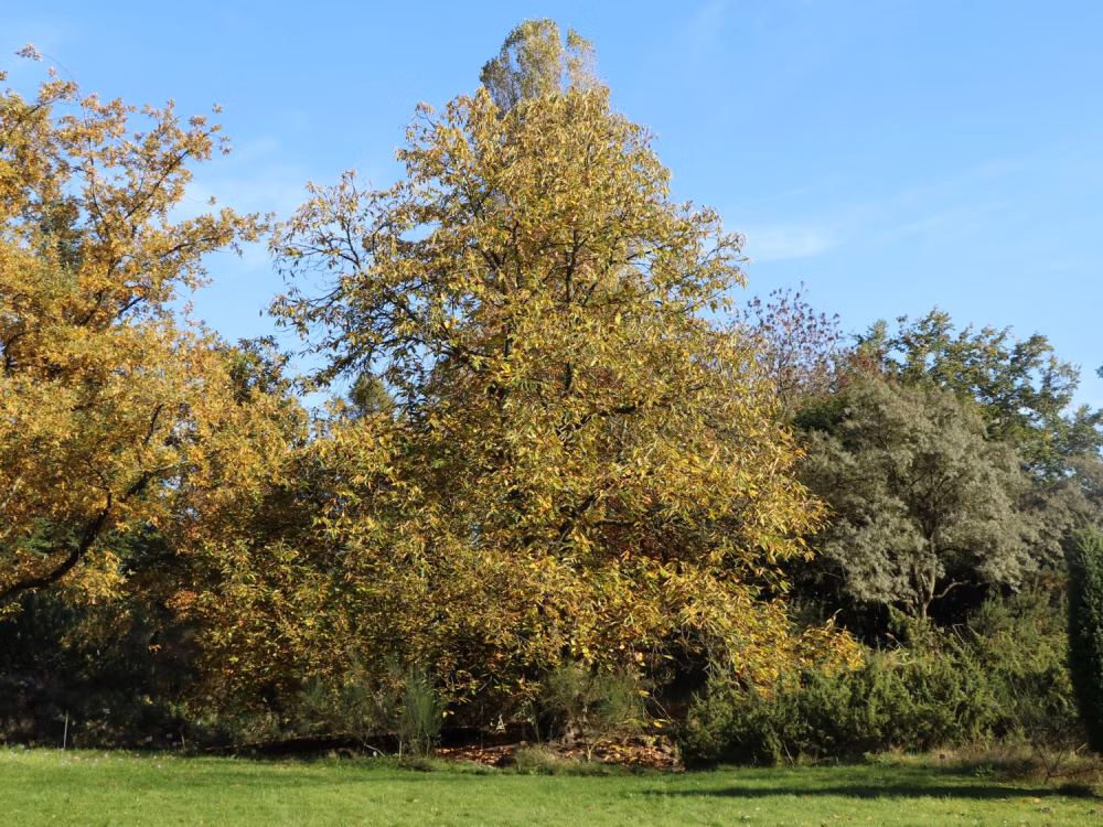 b80112b29a7c90a1f3e9cb4608245fcd