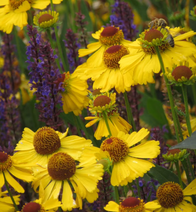 b806caf1b7f95067bd3cec5738e01b73