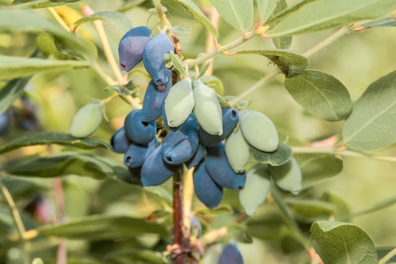 b813365c1fc799522a7d9207fd544649