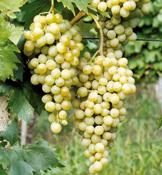 b8536b63d0617035398951ec7c361f41