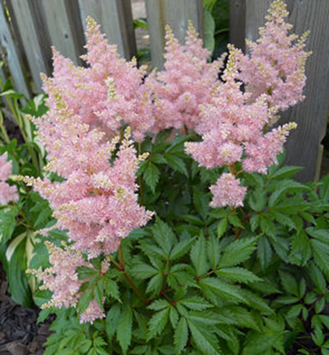 b87a1d27220770d579a98fd1385c16ca