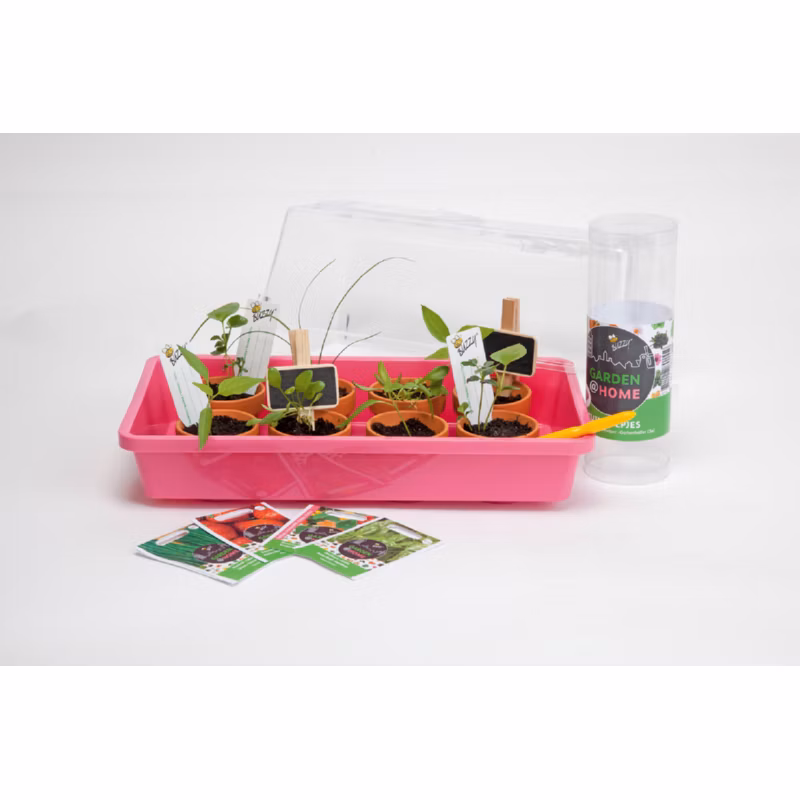 b8957ee68eb83bdb714662470cb17c36