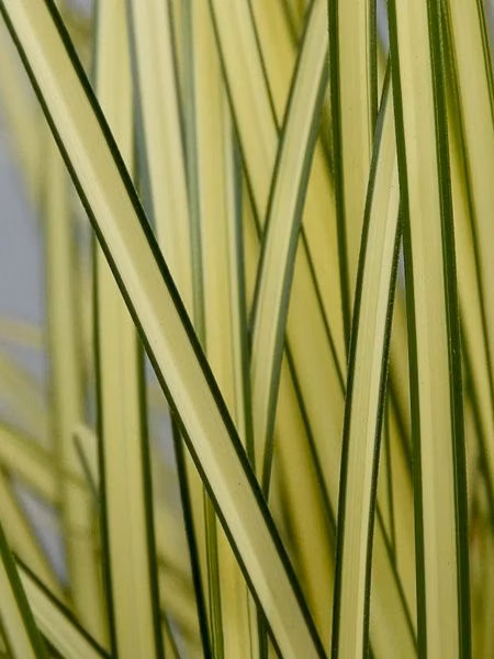 b8c298f6a5013b8397700d7693a97dc8