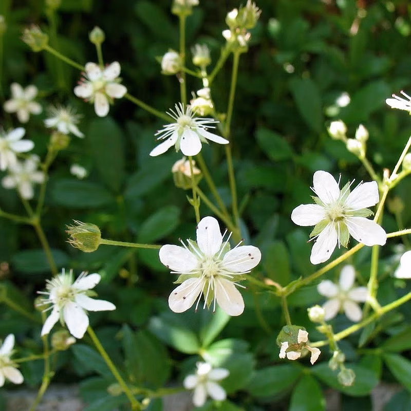 b91a7964e222abab6ce5140717936061