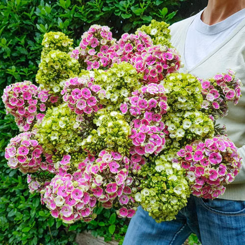 b925c107edc345bc63530d3ae21c5063