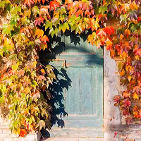 b9332bf032bc9f1ef66f0d09948c8b04