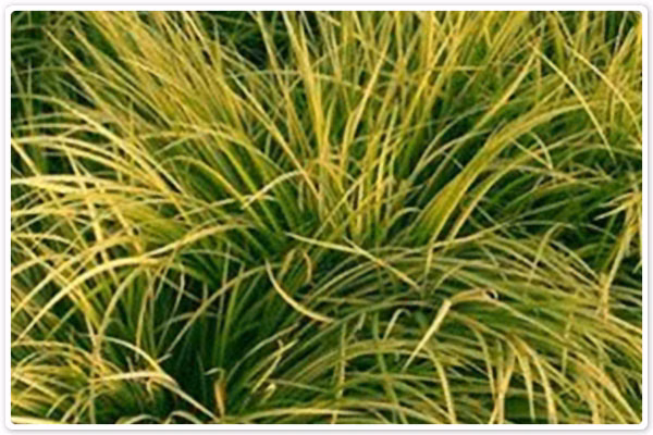 ba1602eb6d999f1e7bd12f00fc414d7c