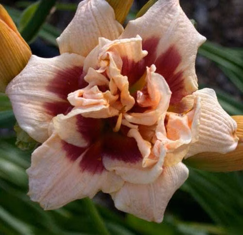 ba3f14f49f5fddee444e9098d6e4e9d7