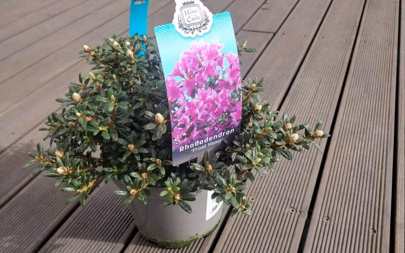 ba99a6b596f4b3b708f795bf436bb94c