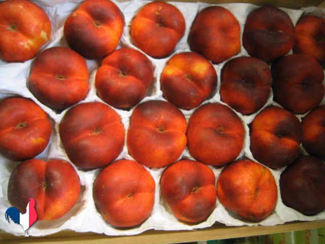 baf8df0271132ac63f78d207caa6979d