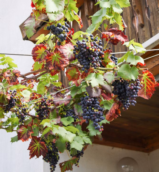 bb07ef99f0519c701dca209959a8e879