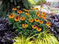 bb171f6ce88501c486c14dee25bee553