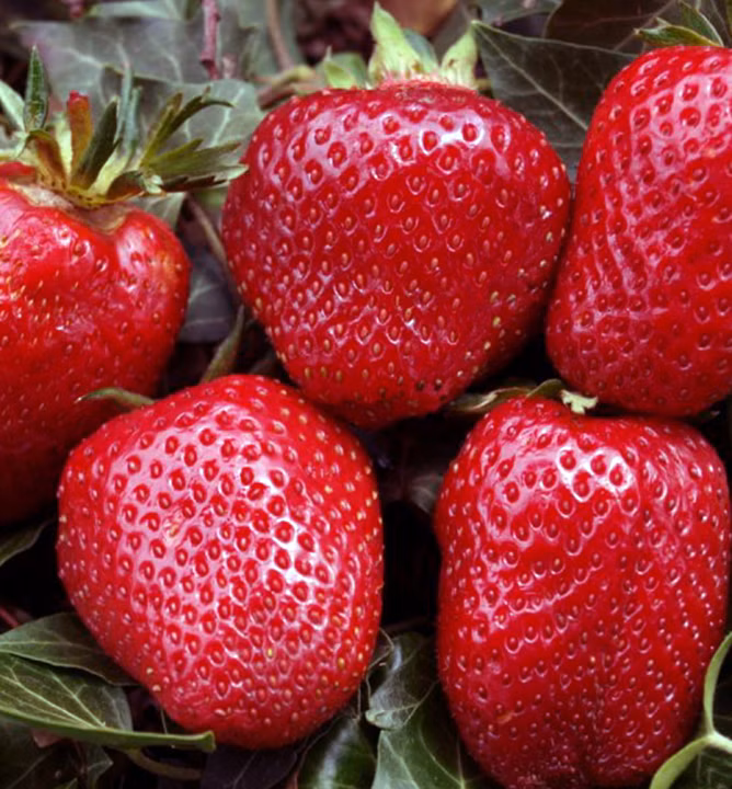 bb37f9b6295ef614dc9d9b85a0b8ab3d