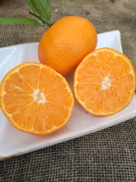bb4048f694465e16efc4bce1f563091e