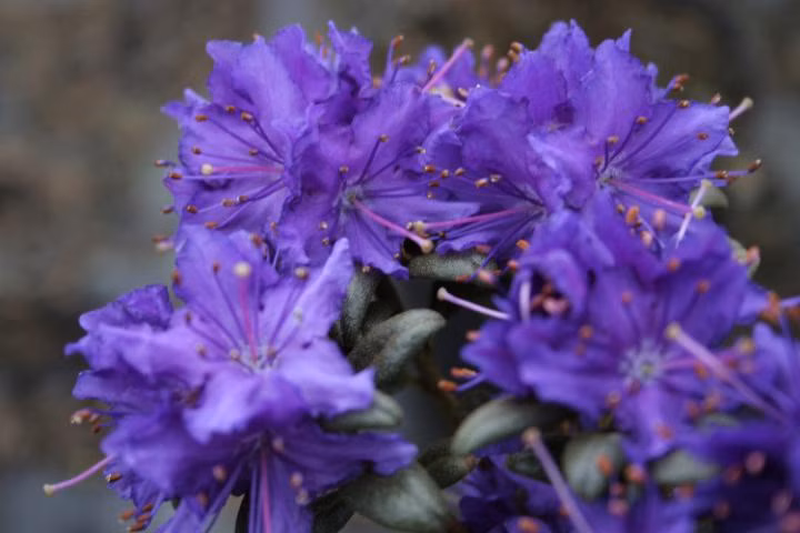 bb406151da2a8c069aa40609670effa6