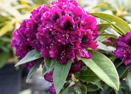 bb50b4f5b008cdadbcb95e20b798cf18