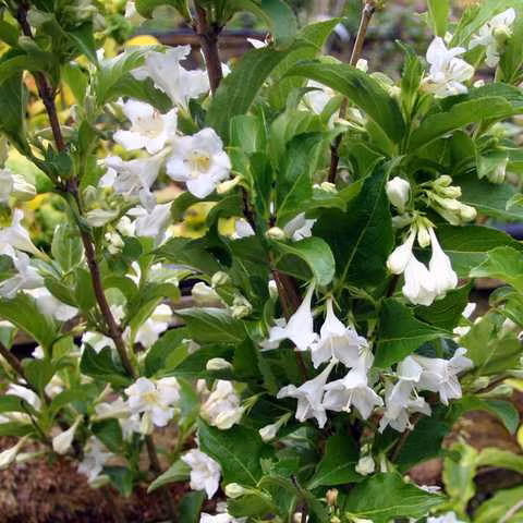 bb6c2121a1a532886e6e8f30153aa115