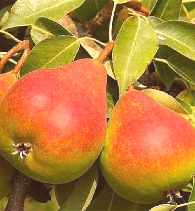 bb6c8d7b3ad75e9d0c0e1c76f89b371f