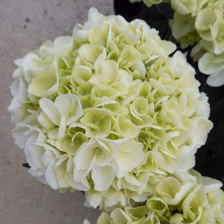 bb84bce78def291fb7cf42515d654c5a