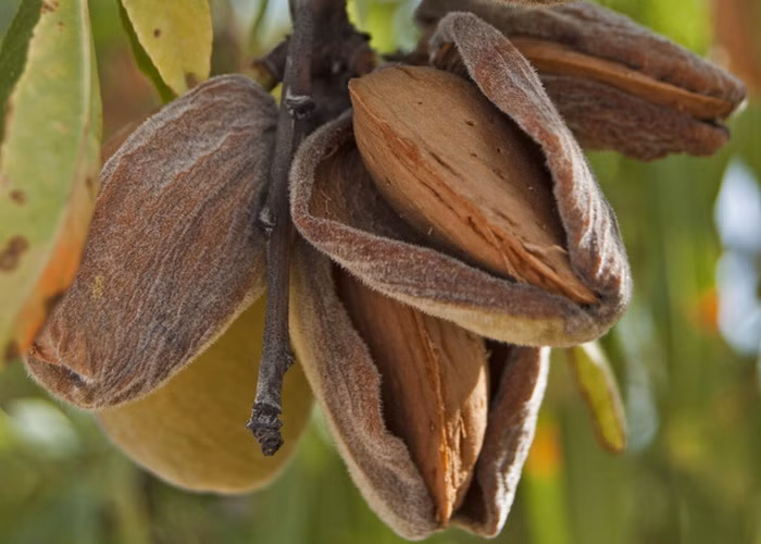 bbaac9e450c28a16411d92559a5731eb