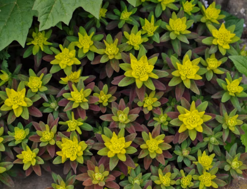 bbbcec7db151965db8cd72809ffba156