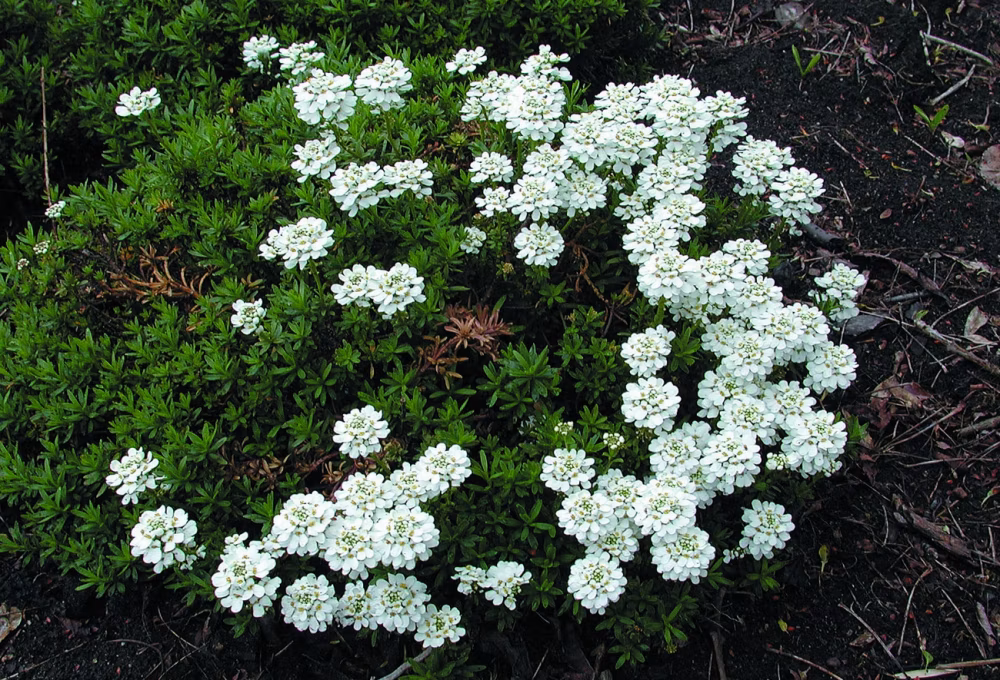 bbbe42d3ea668b992fb191ff295d1c02