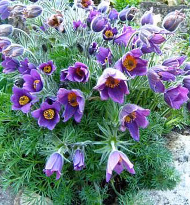 bc14d38a2bc454bcf86fd256bb2b95f6