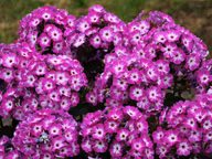 bc29d47957e5ce3da9cf8c023a9e8d1c