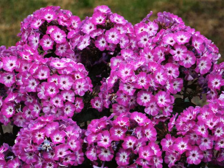 bc29d47957e5ce3da9cf8c023a9e8d1c