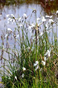 bc5de50a06ca425fd8aa95f7250c4ba7