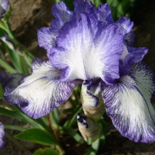 bc935146398a20ada7d2fb8367b10470