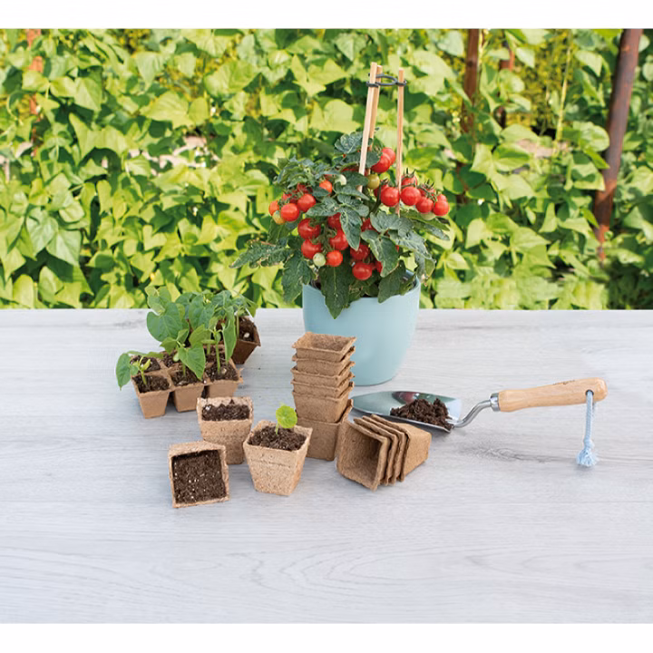 bc9d7913b3b5b0e3f29baa4f86f89f02